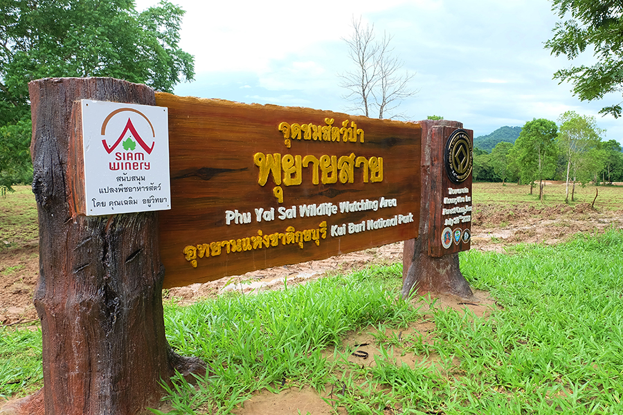 article_image